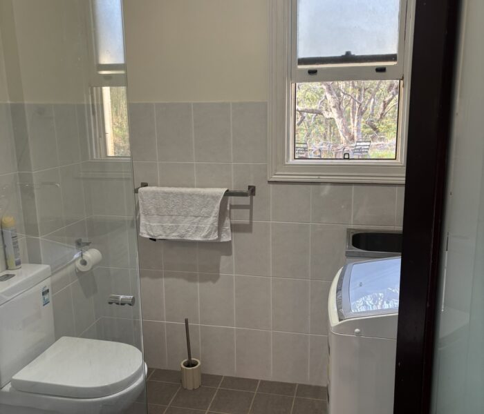 Downstairs laundry and loo